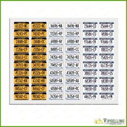 Tamiya 1/14 56319 56302 NY USA State License Plate HQ Decals Stickers Kit Tamiya 1/14 56319 56302 NY USA State License Plate HQ Decals Stickers Kit